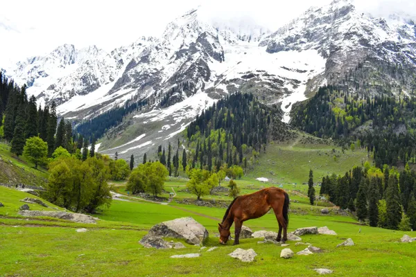 Jammu and Kashmir landscape